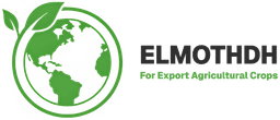 ElMothdh Import & Export Logo