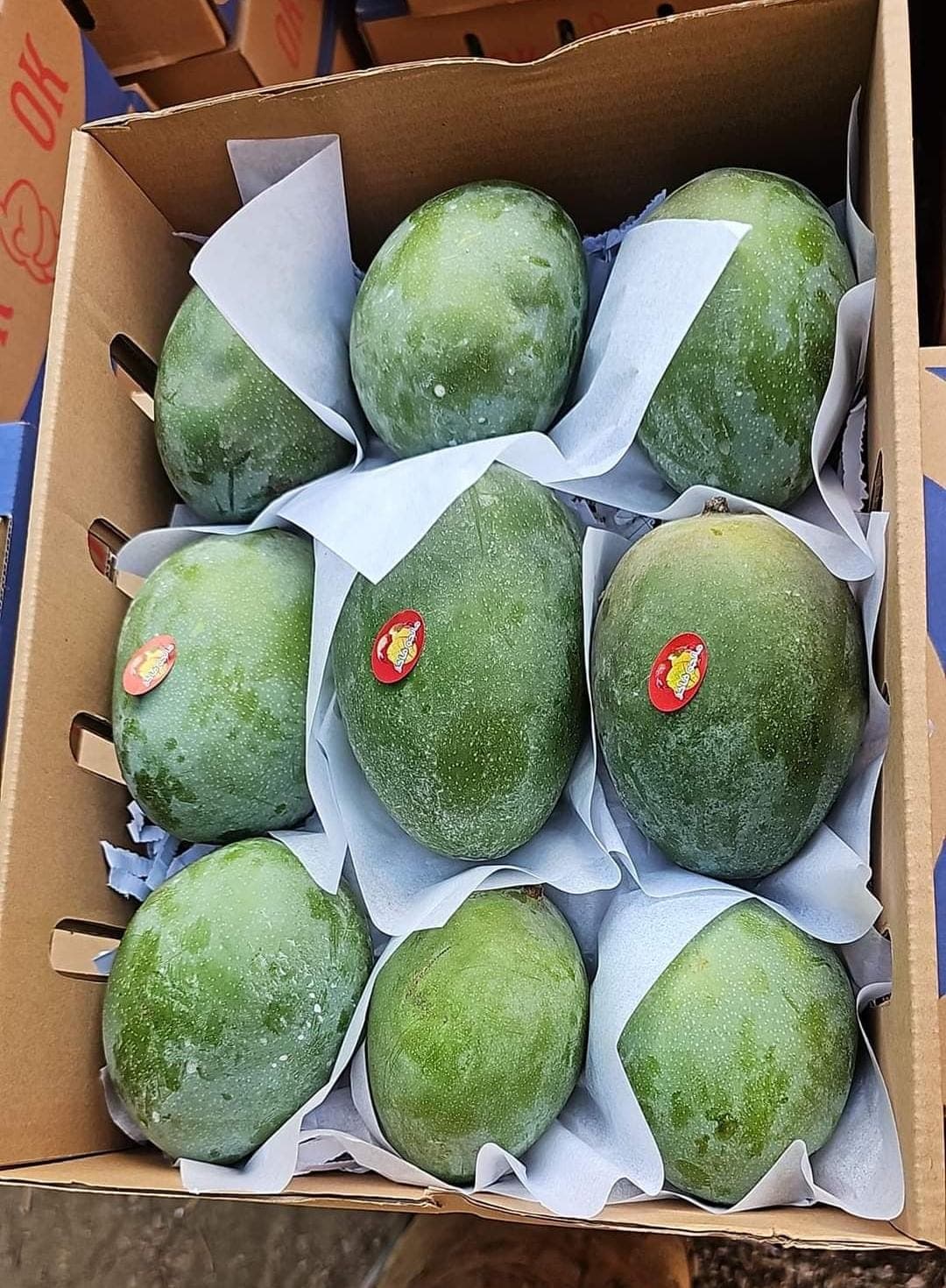 Mangoes