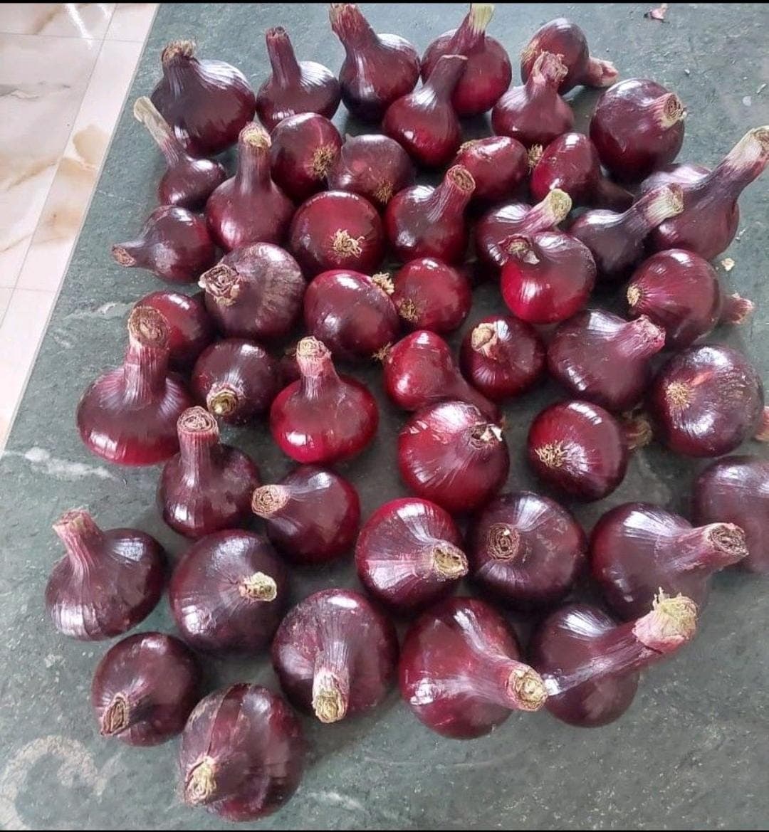 Onions