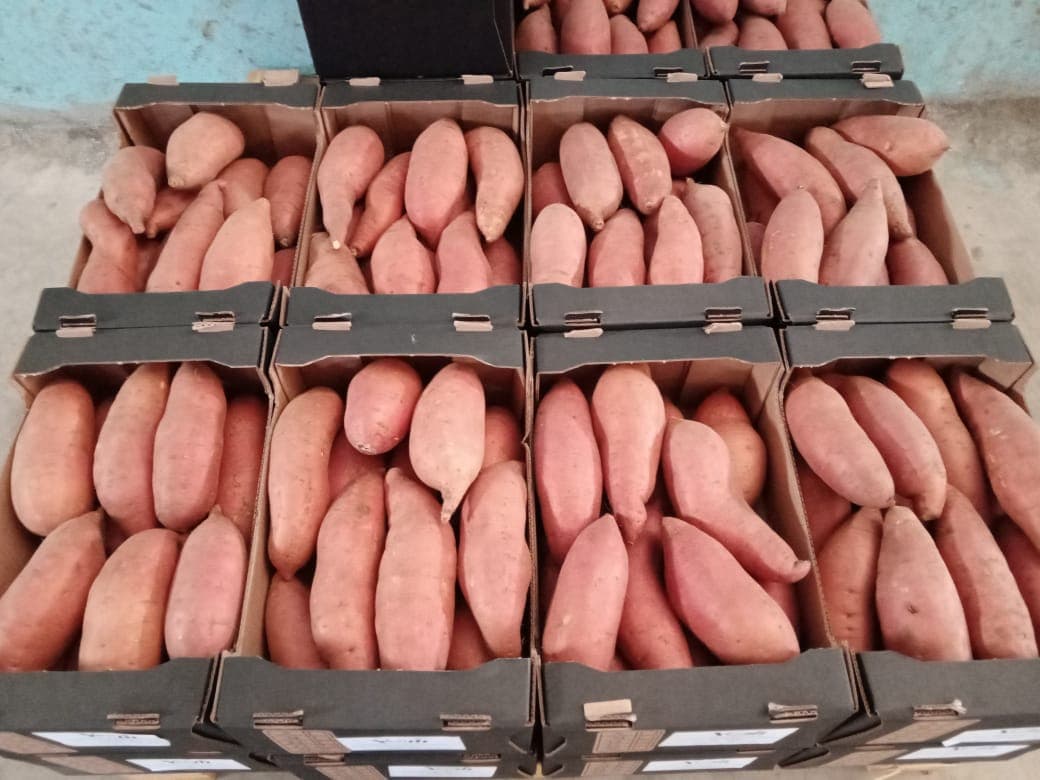 Sweet Potatoes